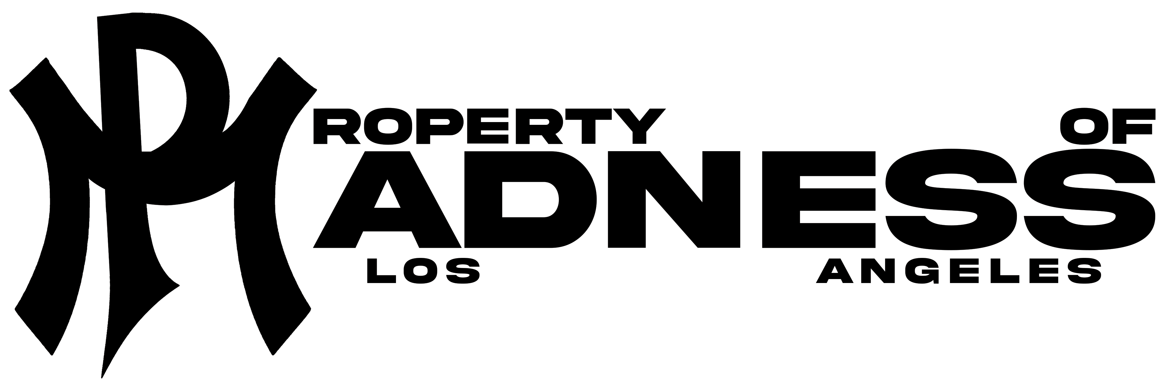 PROJECT MADNESS